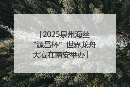 2025泉州海丝“源昌杯”世界龙舟大赛在南安举办
