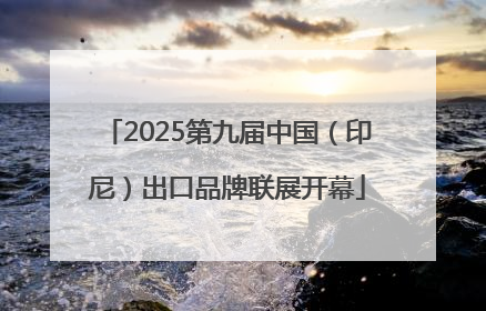 2025第九届中国（印尼）出口品牌联展开幕