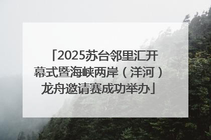 2025苏台邻里汇开幕式暨海峡两岸（洋河）龙舟邀请赛成功举办