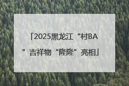 2025黑龙江“村BA”吉祥物“隆隆”亮相
