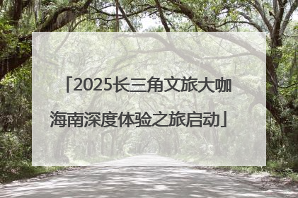 2025长三角文旅大咖海南深度体验之旅启动