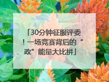 30分钟征服评委！一场竞赛背后的“政”能量大比拼