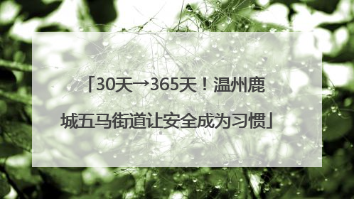30天→365天！温州鹿城五马街道让安全成为习惯