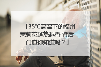 35℃高温下的福州茉莉花越热越香 背后门道你知道吗？