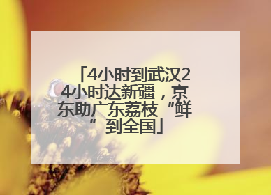 4小时到武汉24小时达新疆，京东助广东荔枝“鲜”到全国