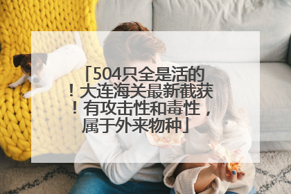504只全是活的！大连海关最新截获！有攻击性和毒性，属于外来物种