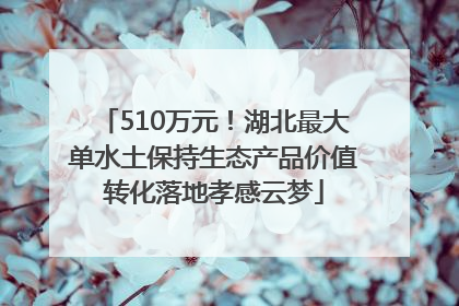510万元！湖北最大单水土保持生态产品价值转化落地孝感云梦