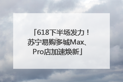 618下半场发力！苏宁易购多城Max、Pro店加速焕新