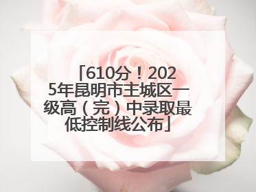 610分！2025年昆明市主城区一级高（完）中录取最低控制线公布