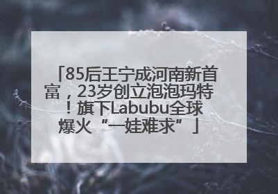 85后王宁成河南新首富，23岁创立泡泡玛特！旗下Labubu全球爆火“一娃难求”