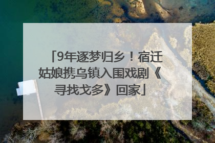 9年逐梦归乡！宿迁姑娘携乌镇入围戏剧《寻找戈多》回家