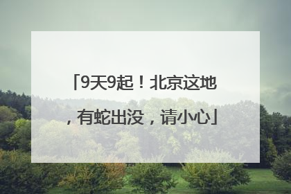 9天9起！北京这地，有蛇出没，请小心