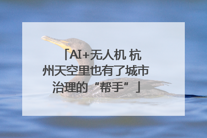 AI+无人机 杭州天空里也有了城市治理的“帮手”