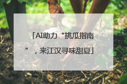 AI助力“挑瓜指南”，来江汉寻味甜夏