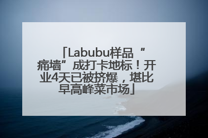 Labubu样品“痛墙”成打卡地标！开业4天已被挤爆，堪比早高峰菜市场