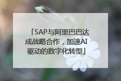 SAP与阿里巴巴达成战略合作，加速AI驱动的数字化转型